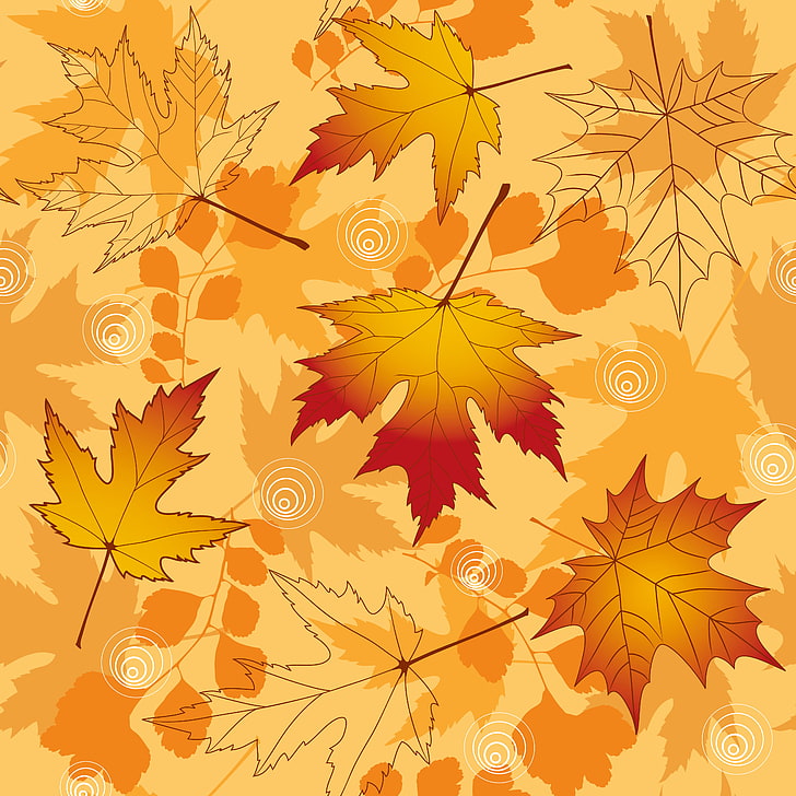 HD wallpaper: maple leaf illustration, leaves, background, autumn, fall ...