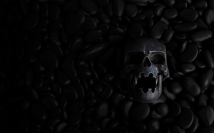 black skull, dark, stones, human skull, close-up, human skeleton, HD wallpaper