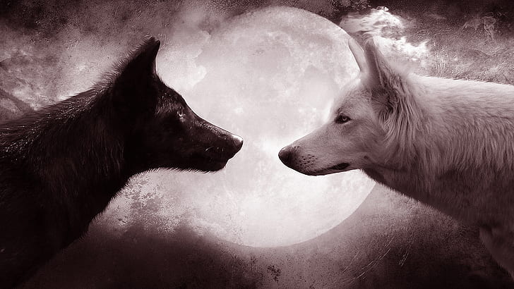 HD wallpaper: wolf, wolves, full moon, black wolf, white wolf, animals,  fantasy art | Wallpaper Flare