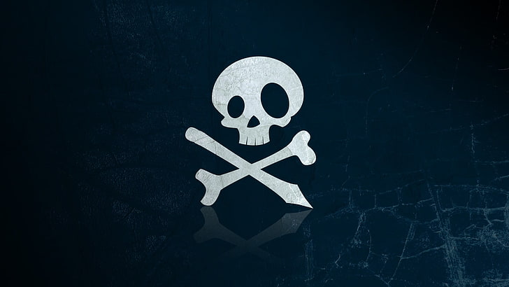 black and white pirate logo printed textile, skull and bones