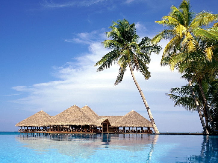 coconut tree, maldives, resort, palm trees, arbors, water, sky, HD wallpaper
