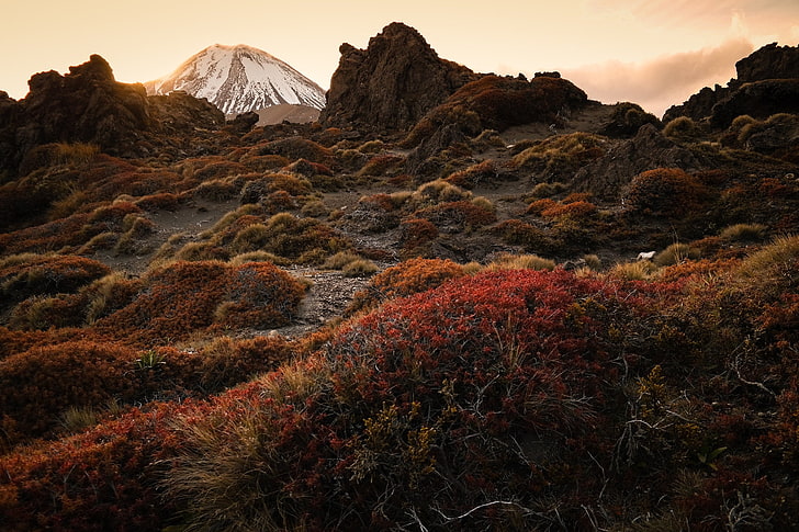 mount, mountain, new, ngauruhoe, stratovolcano, tongariro, zealand, HD wallpaper