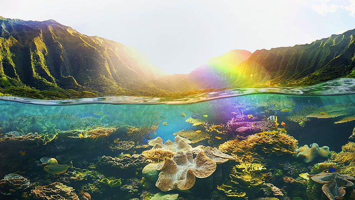 nature, water, rainbow, mount scenery, coral reef, sky, mountain