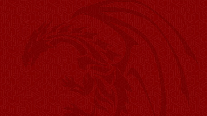 illustration of dragon, red, backgrounds, textured, pattern, copy space