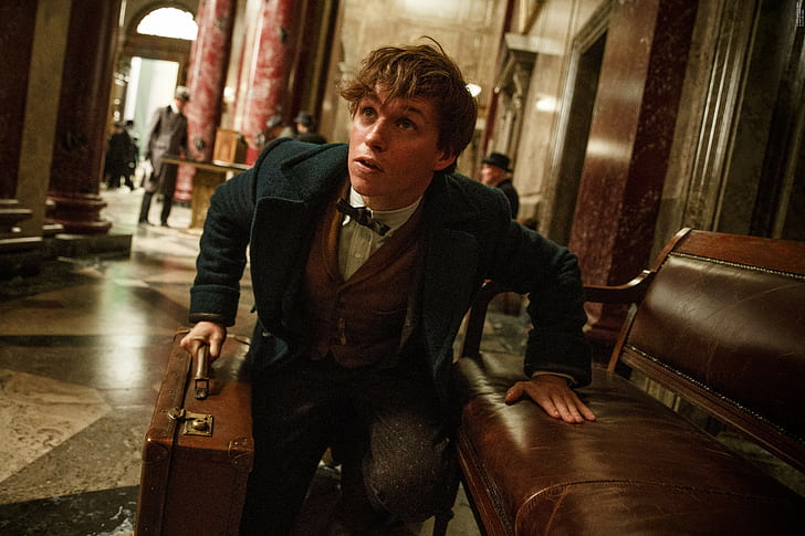 Movie, Fantastic Beasts and Where to Find Them, Eddie Redmayne, HD wallpaper