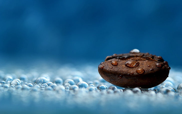 coffee bean, macro, depth of field, coffee beans, water drops, HD wallpaper