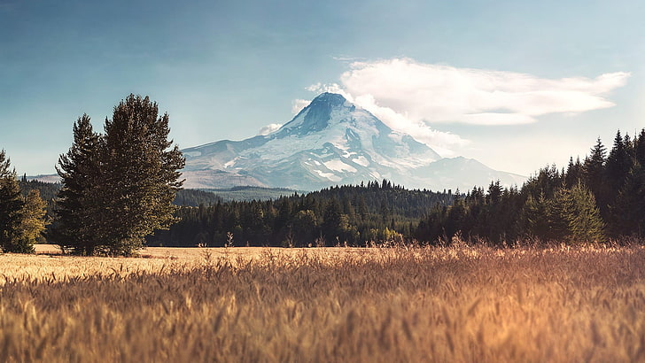 white and blue mountain, trees, Mount Hood, mountains, photo manipulation, HD wallpaper