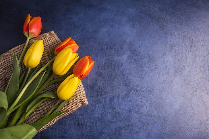 background, bouquet, tulips