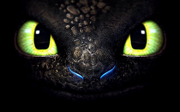 Top more than 66 wallpaper toothless - in.cdgdbentre