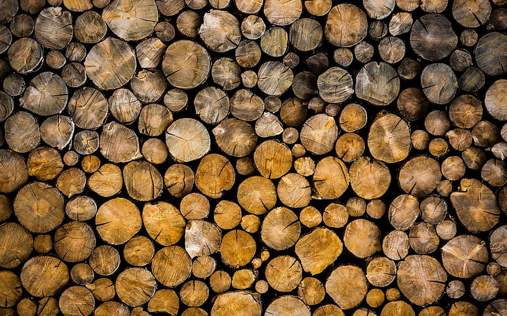 Logs, wood, bark, trees, HD wallpaper