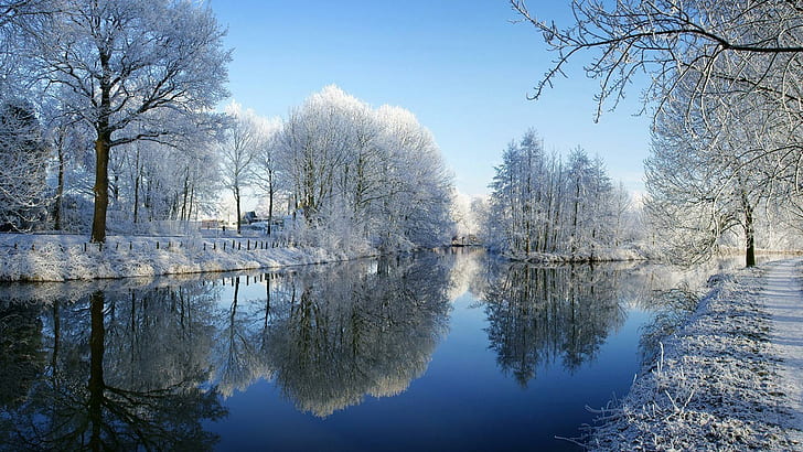 Winter, river, trees, frost, snow, picturesque scenery, winter landscape, HD wallpaper