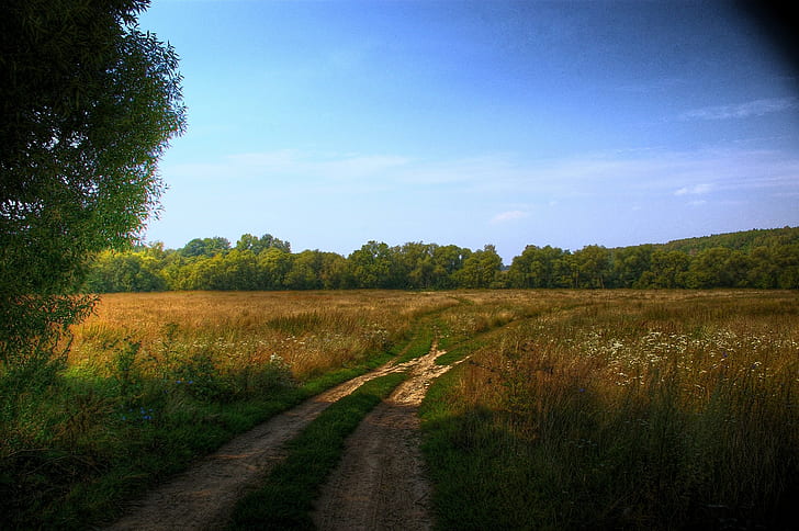 landscape, trees, pathway, HD wallpaper