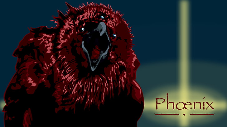 red and black skull print textile, phoenix, communication, western script, HD wallpaper