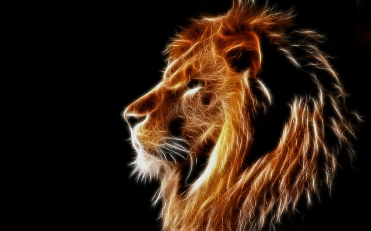 Creative design, light lion, mane, black background, HD wallpaper
