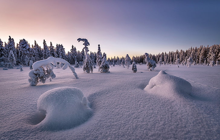 nature, landscape, snow, winter, trees, cold temperature, sky, HD wallpaper