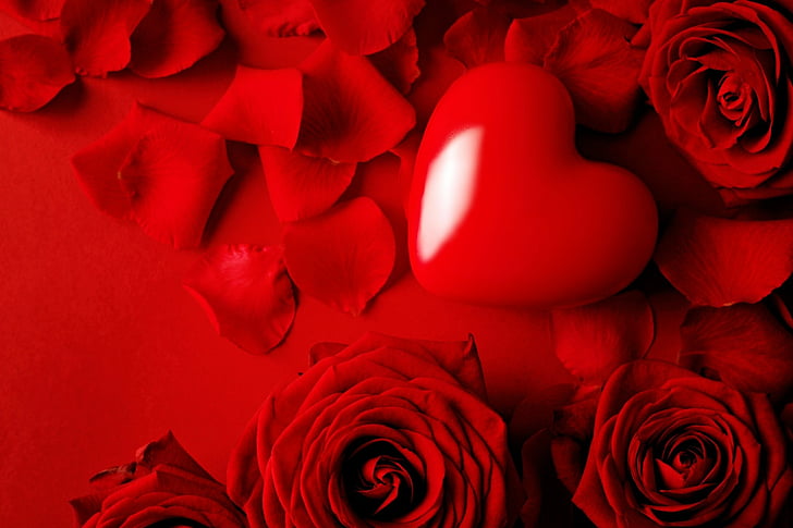 HD wallpaper: Flowers, Rose, Heart, Love, Red Flower, Red Rose | Wallpaper  Flare