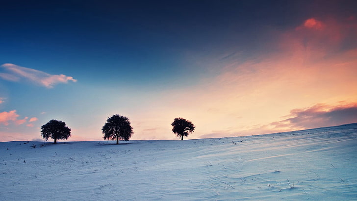 brown and white trees painting, landscape, winter, sky, snow, HD wallpaper