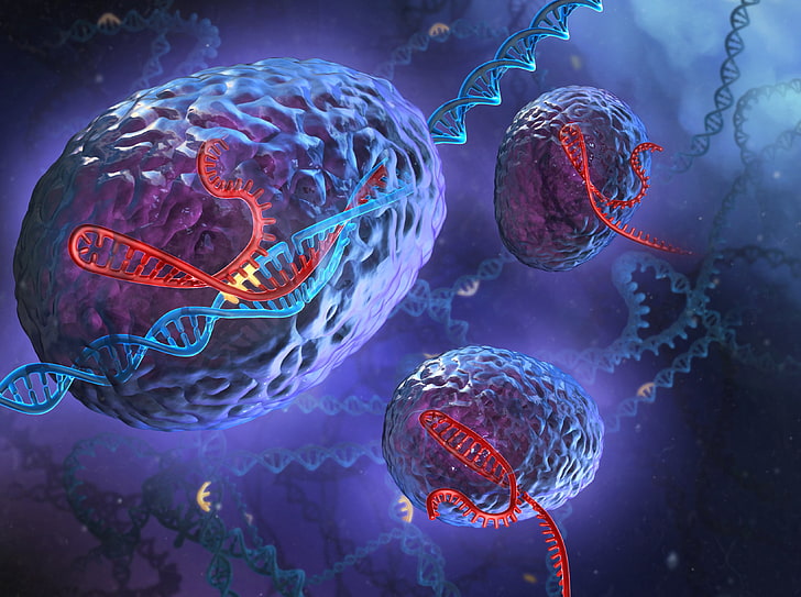 DNA and genetics illustration, spirals, cells, biology, science, HD wallpaper