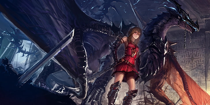 dragon and knight illustration, gray dragon illustration, anime