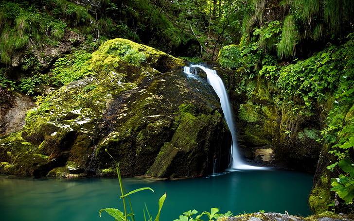 Waterfall Rain Forest, waterfall with mossy rocks, nature, HD wallpaper