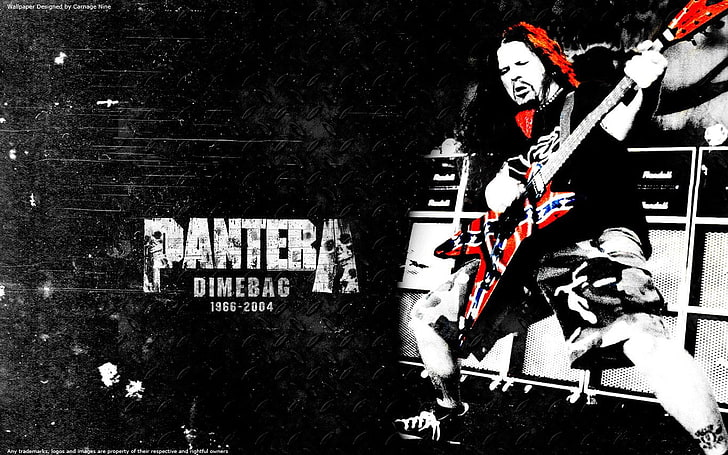 Band (Music), Pantera, Dimebag Darrell, Guitar, Guitarist, Heavy Metal, HD wallpaper