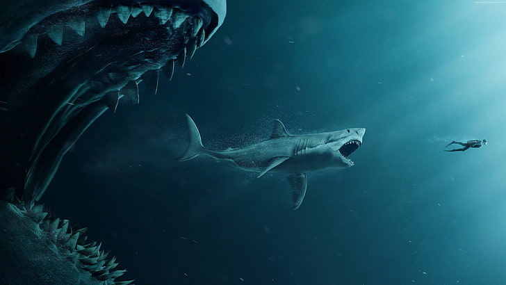 4K, The Meg, shark, diver, animal themes, animals in the wild, HD wallpaper