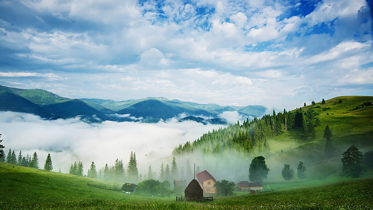landscape view of sea of clouds from mountain, nature, trees