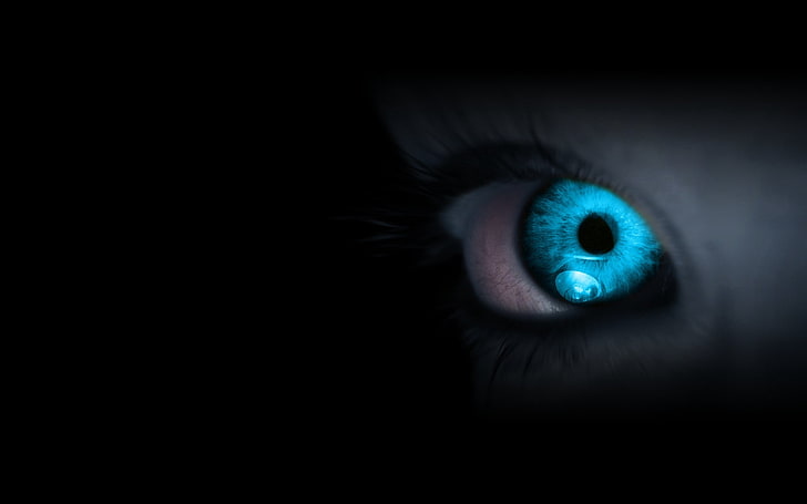 person's blue eye, eyes, eyelash, pupil, fear, iris - Eye, eyeball