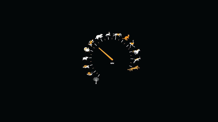 round black analog watch, untitled, humor, minimalism, speedometer, HD wallpaper