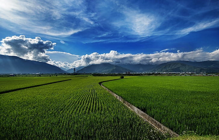 HD wallpaper: green farm near in mountain during daytime, Fond, Memories,  Rice Fields | Wallpaper Flare