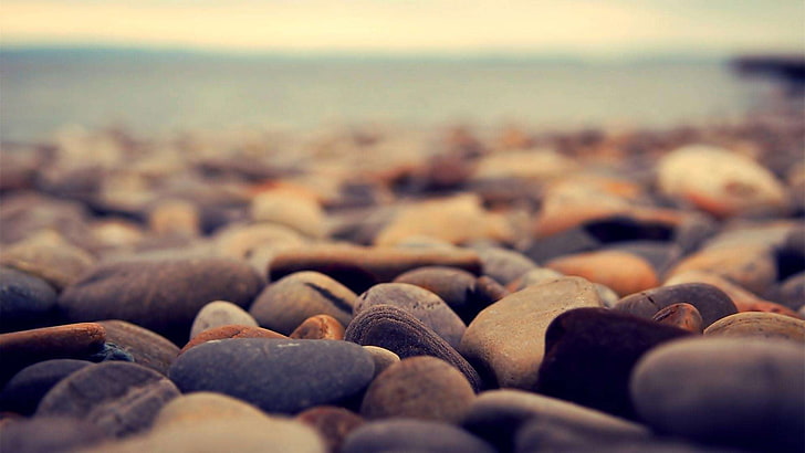 gray and brown stone lot, nature, stones, selective focus, sea, HD wallpaper