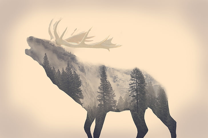gray moose, stags, animals, long exposure, forest, majestic casual (channel), HD wallpaper