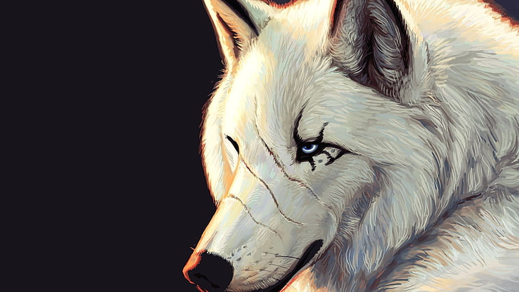 white wolf illustration, fantasy art, artwork, animals, scars