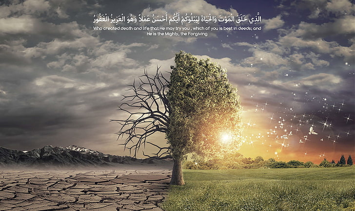 Allah, religion, religious, Qur'an, sky, cloud - sky, tree, HD wallpaper