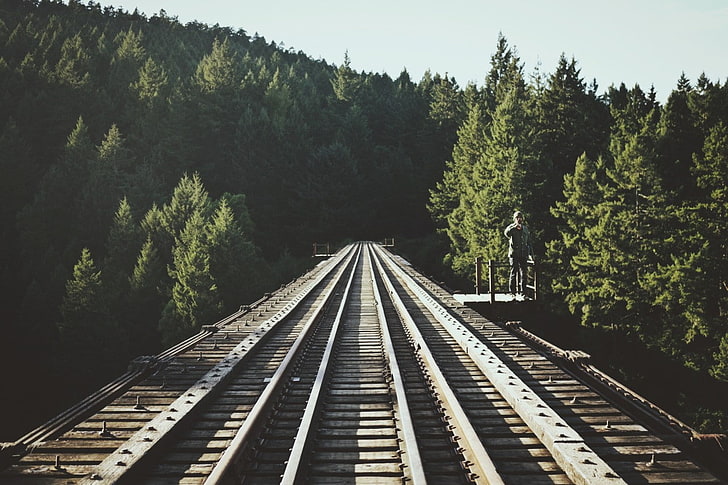 nature, forest, railway, filter, rail transportation, track
