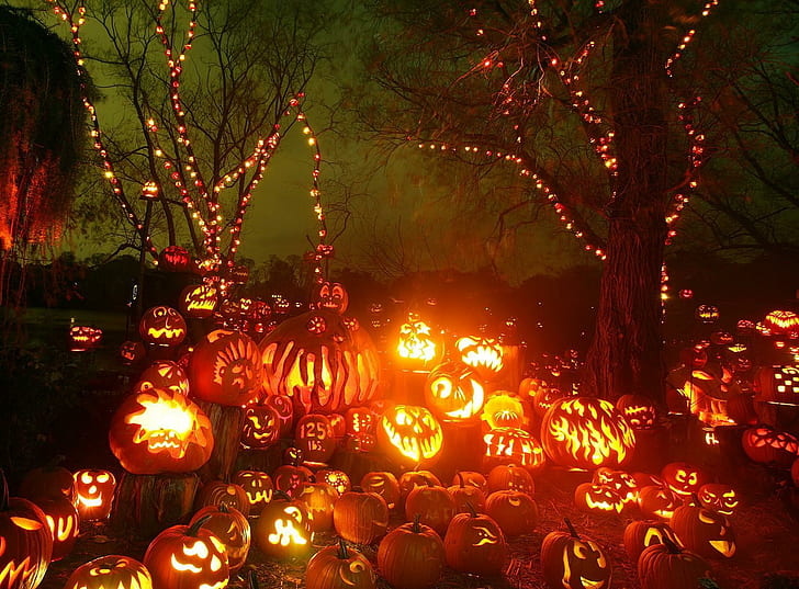 halloween, holiday, pumpkin, night, fire, trees, HD wallpaper