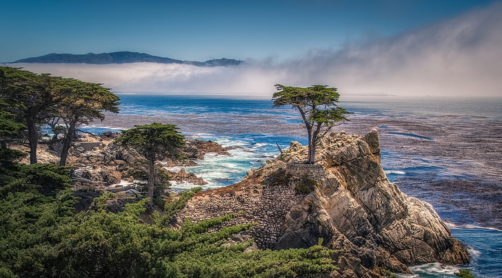 Monterey Bay, United States, California, Beach, Tree, Drive, Scenic, HD wallpaper