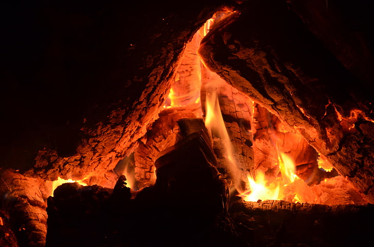 close-up of bonefire, wood, campfire, orange, burning, flame, HD wallpaper
