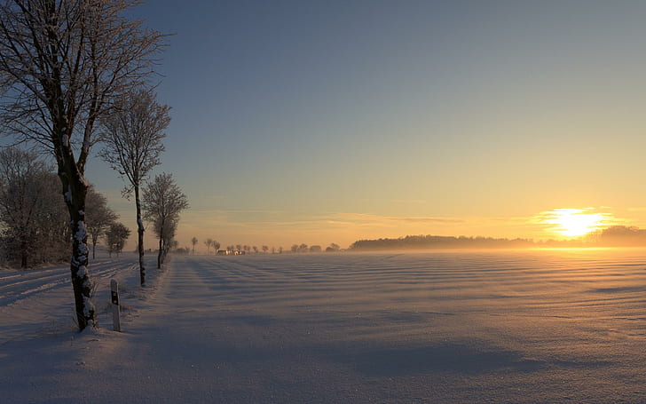 German Winter Sunset, nature, beautiful, colors, trees, field