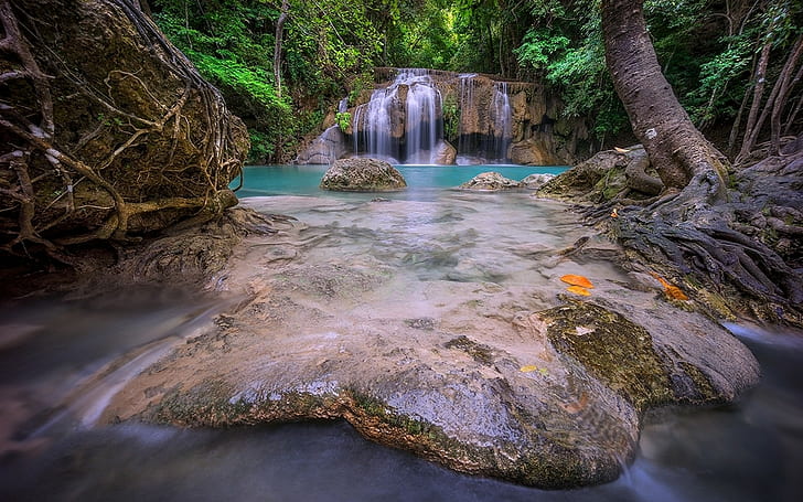 nature, landscape, Thailand, waterfall, forest, roots, foliage