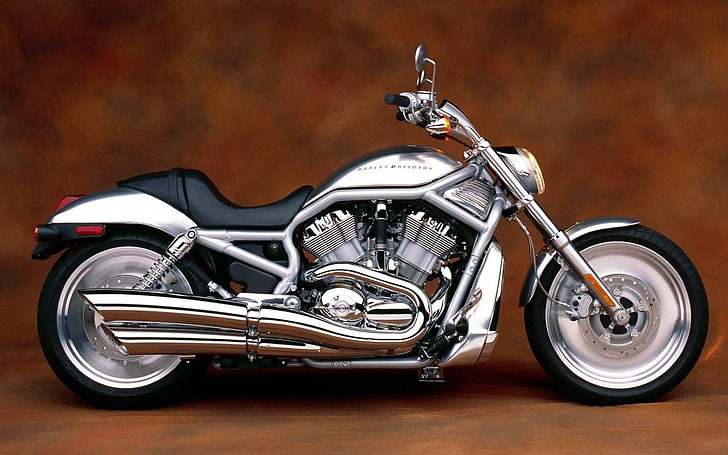 Harley Davidson V Rod, gray and black cruiser motorcycle, Motorcycles