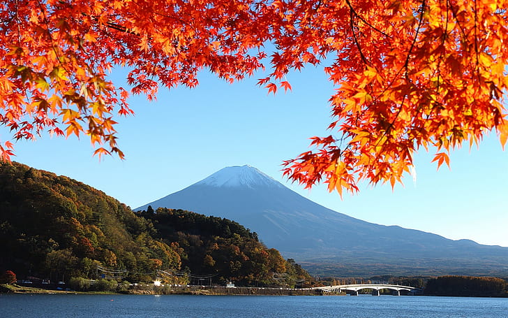Japan, mount Fuji, autumn, red leaves, HD wallpaper