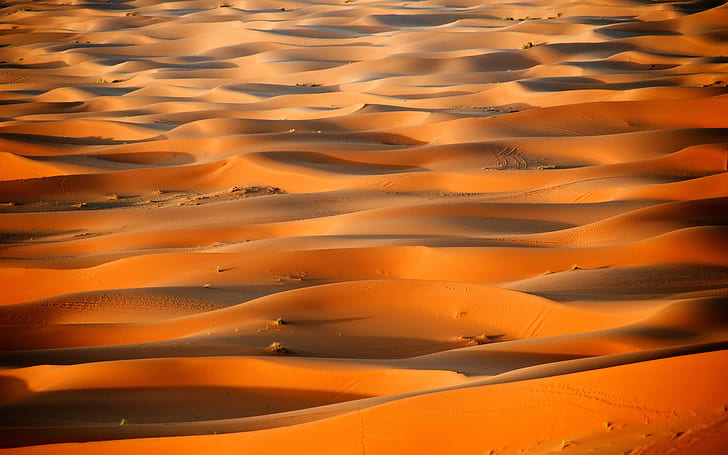 Africa, Morocco, desert, Sahara dunes, HD wallpaper