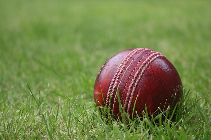 2,195,763 Sport Of Cricket Stock Photos, High-Res Pictures, and Images -  Getty Images