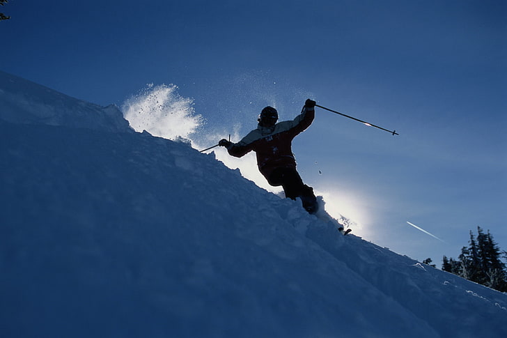 black and white short coated dog, skiing, snow, ridges, sport, HD wallpaper