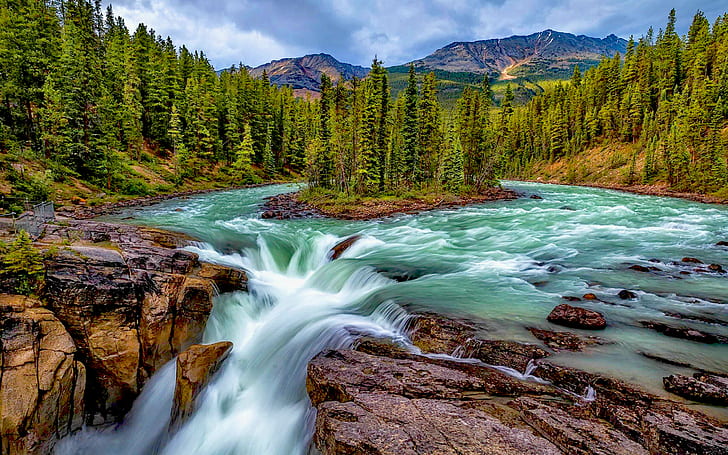 Falls On Sunwapta River In Jasper National Park Alberta Canada Desktop Hd Wallpaper For Mobile Phones Tablet And Pc 2560×1600