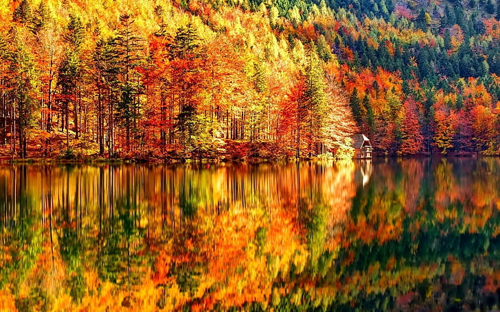Autumn Images For Backgrounds Desktop 1080p 2k 4k 5k Hd Wallpapers Free Wallpaper Flare - Fall Autumn Wallpaper Desktop