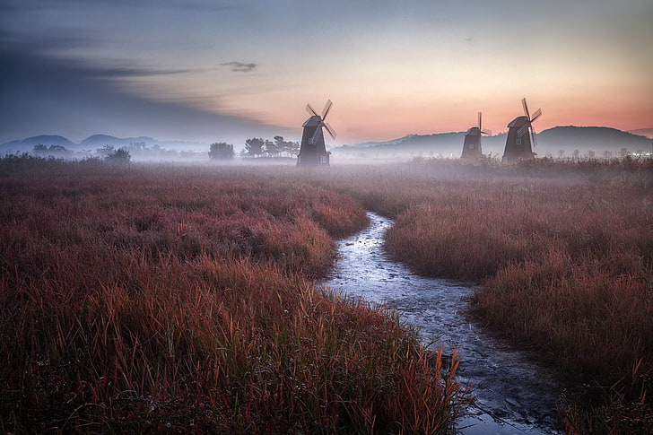 landscape photo of field, nature, mist, windmill, sky, plant