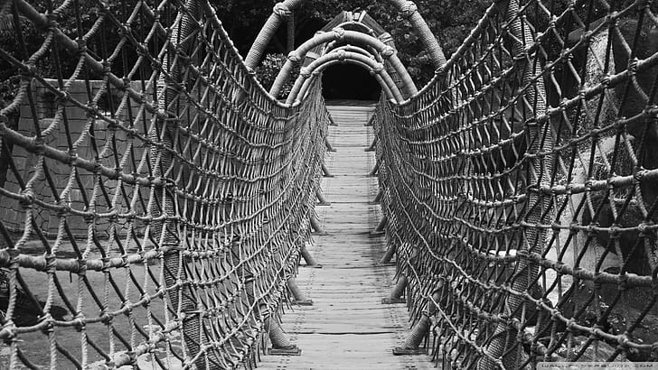 Wonderful Wood Rope Bridge, pedestrian, black and white, nature and landscapes
