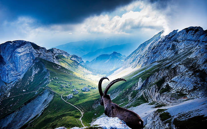 HD wallpaper: Pilatus Mountain In Switzerland Nature Landscape Wallpapers  Free Download Hd 3840×2400 | Wallpaper Flare